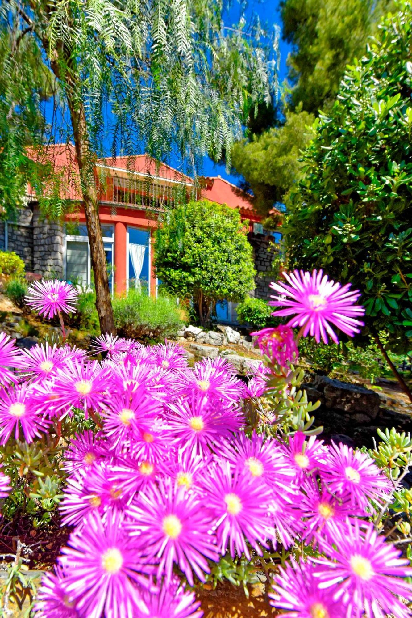 Appartements Avec Jardin Dans Villa Rocaille Cassis Exterior foto